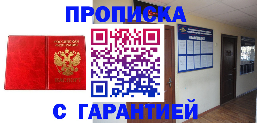 прописка для школы в Щёлково